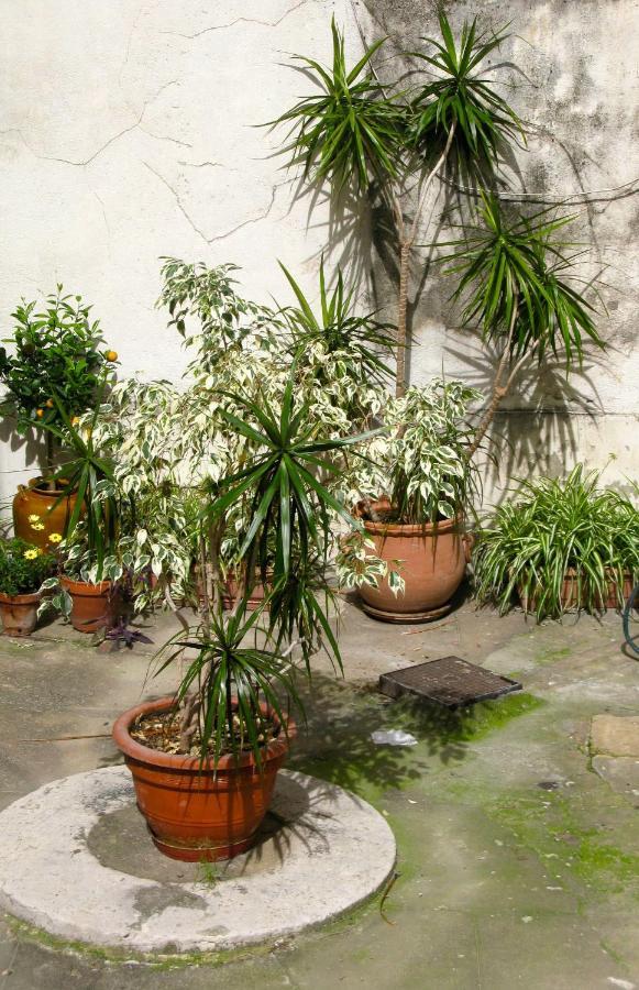 Place Wilson Nizza Exterior foto